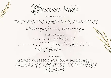 Kintamani font