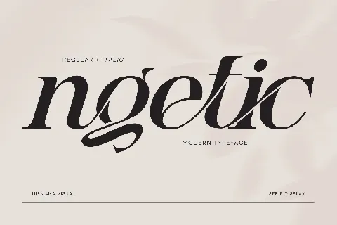 Ngetic Modern font