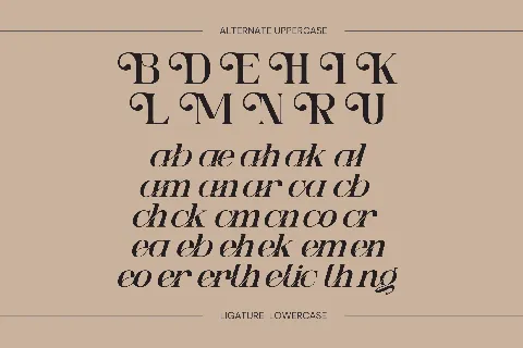 Ngetic Modern font