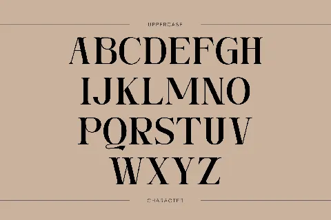 Ngetic Modern font