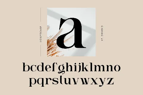 Ngetic Modern font