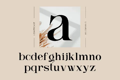 Ngetic Modern font