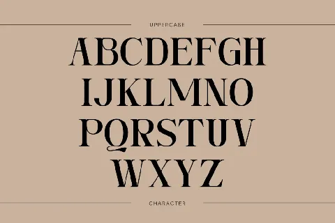 Ngetic Modern font