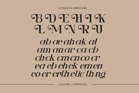 Ngetic Modern font