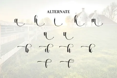 Farmhouse Calligraphy font