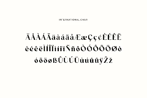 Funtonalie font