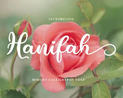 Hanifah Script font