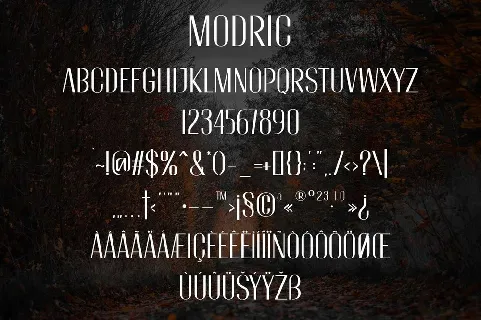 Modric font