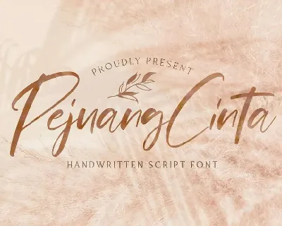 Pejuang Cinta font