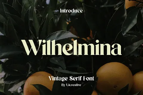 Wilhelmina font