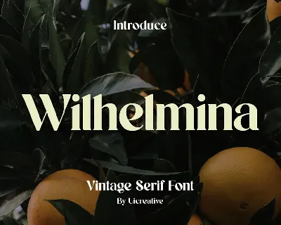 Wilhelmina font