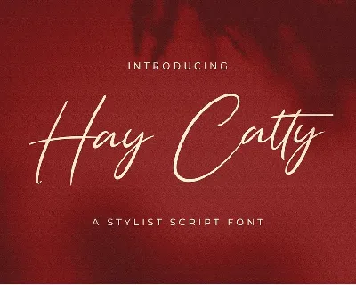 Hay Catty font