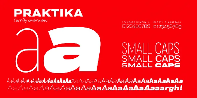 Praktika Family font