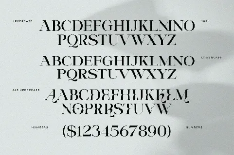 Riclose font