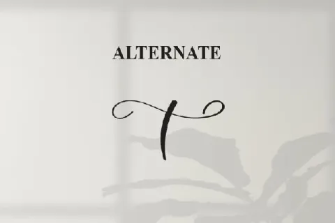 Sometime Calligraphy font