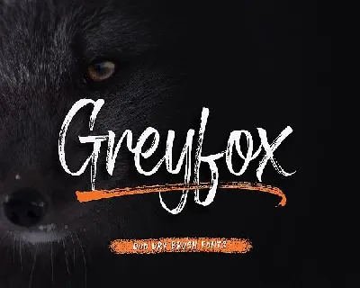 Greyfox Brush font