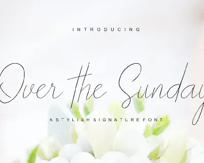 Over the Sunday font