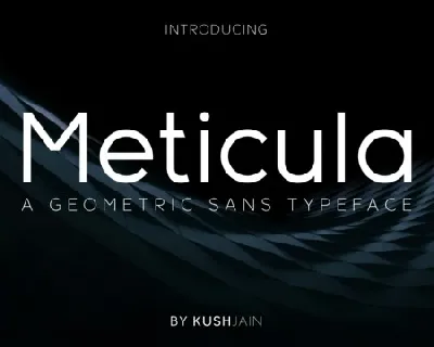 Meticula Family font