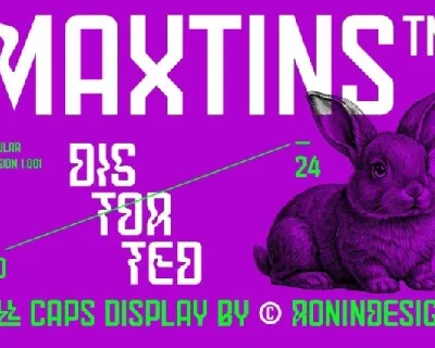 Maxtins font