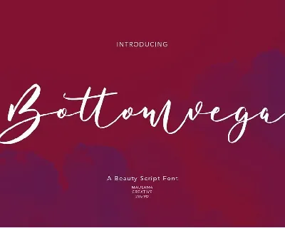 Bottomvega font