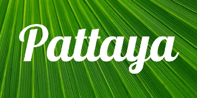 Pattaya font