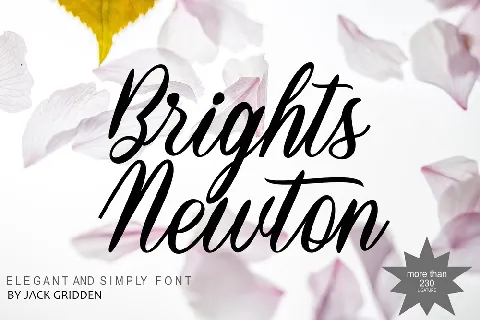 BrightsNewton-DEMO font