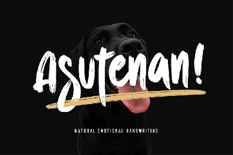 Asutenan! - Personal use font