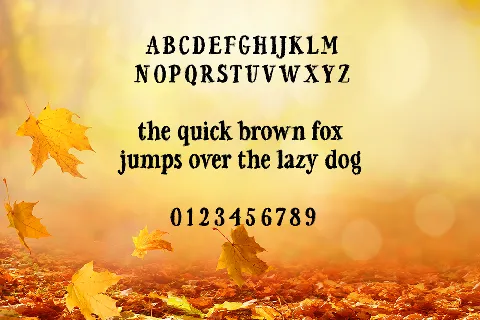 Falling For Autumn font