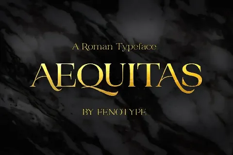 Aequitas font