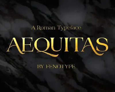 Aequitas font