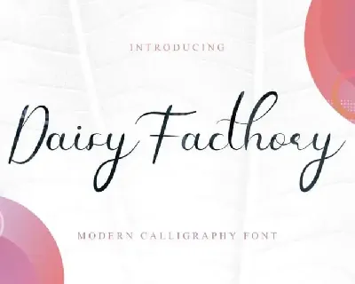 Daisy Facthory Calligraphy font