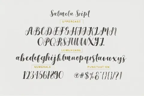 Salmela Script font