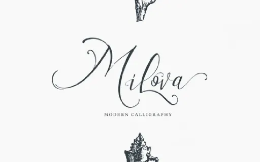 Milova Calligraphy font