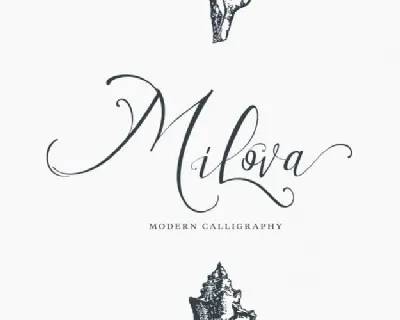 Milova Calligraphy font