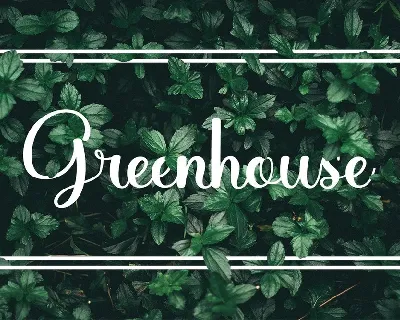 Greenhouse font