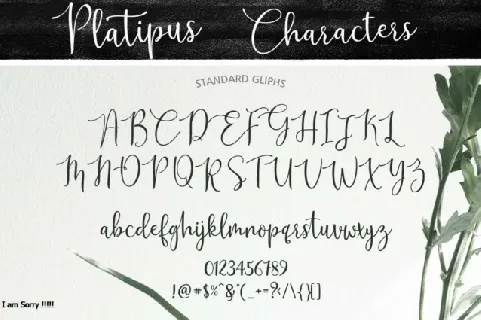 Platipus Script font