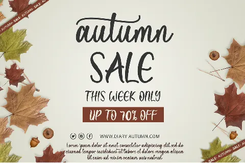 Diary Autumn font