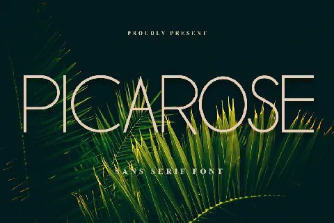 Picarose font