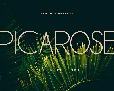 Picarose font