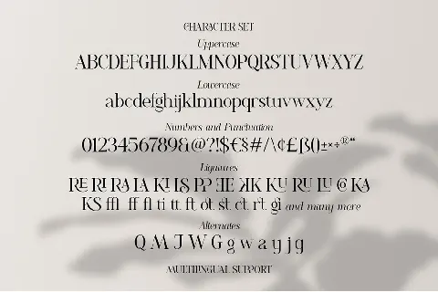 Romelu Vomelu font