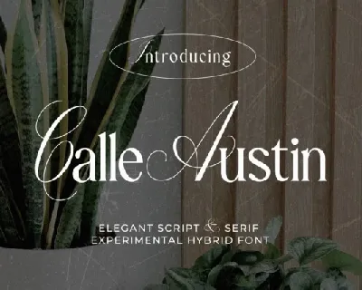 Calle Austin font