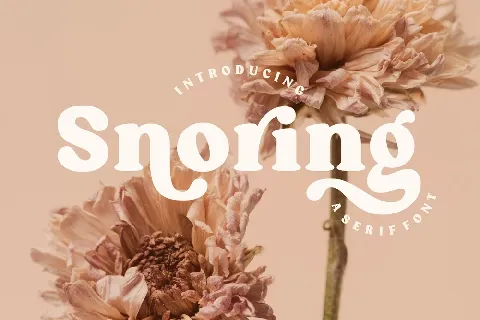 Snoring font