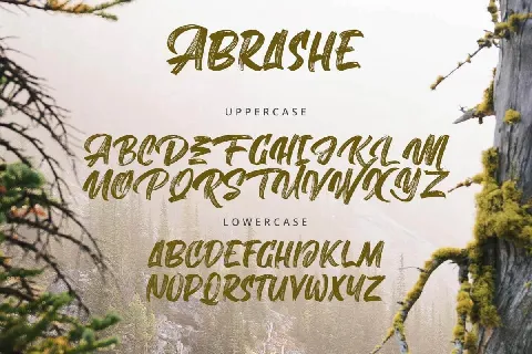 Abrashe font