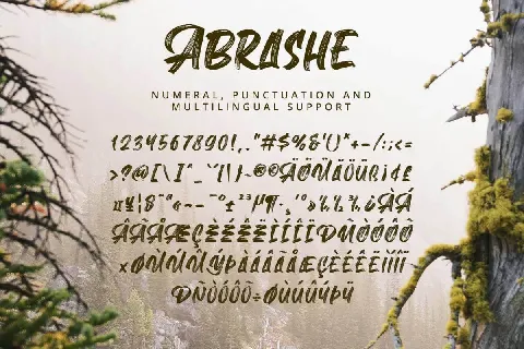 Abrashe font