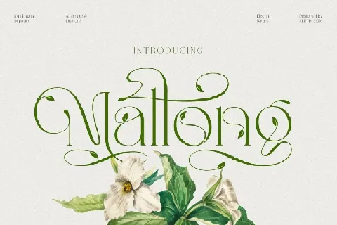 Mallong font