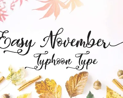 Easy November Script font