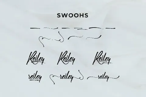 Reiley Demo font