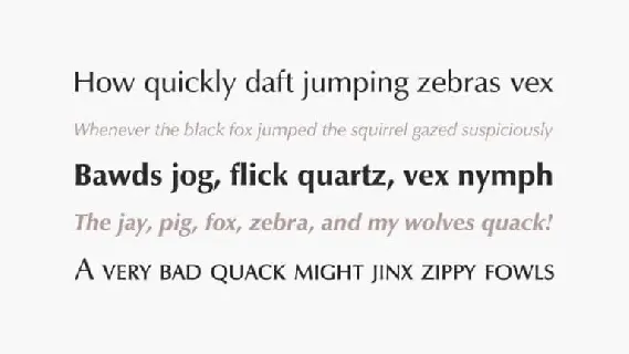 Epigrafica Sans Serif font