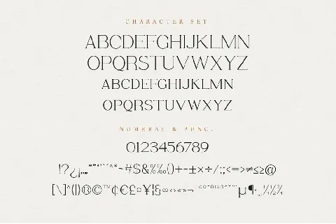 Bervina Stylish Serif font