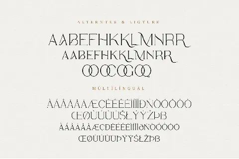 Bervina Stylish Serif font